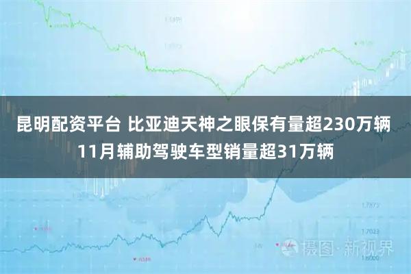 昆明配资平台 比亚迪天神之眼保有量超230万辆 11月辅助驾驶车型销量超31万辆